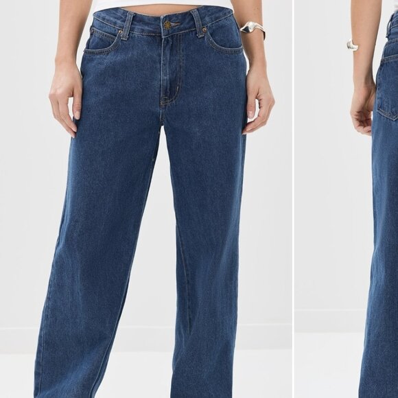 Lioness - Picture 1 of 3